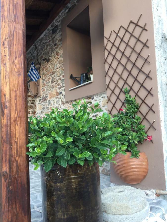 Areti'S Traditional House Apollona ภายนอก รูปภาพ